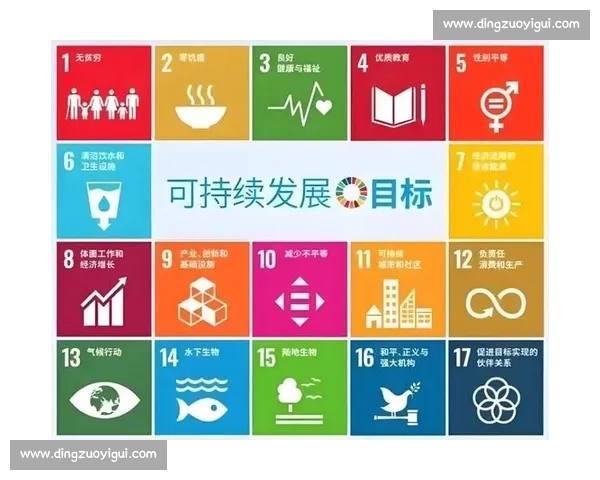 以多元发展为核心推动力,构建全面创新的未来发展新格局